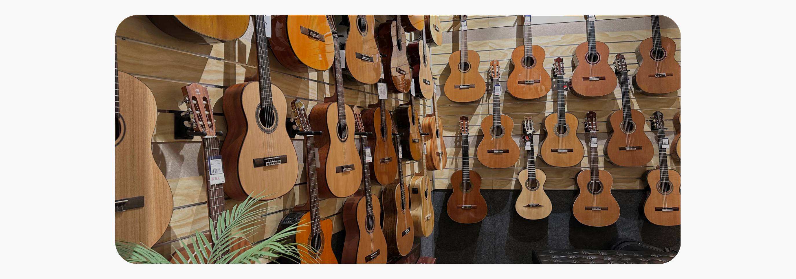 Musical Instruments - Guitars